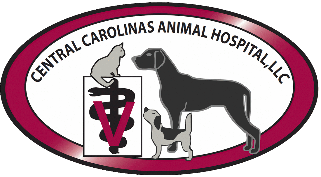 Tour Central Carolinas Animal Hospital - Central Carolinas Animal Hospital
